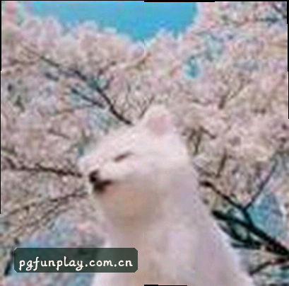 李浩